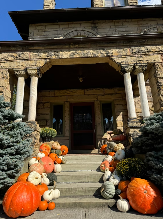Stone porch with symmetrical rows of orange, white and specialty pumpkins